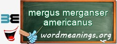 WordMeaning blackboard for mergus merganser americanus